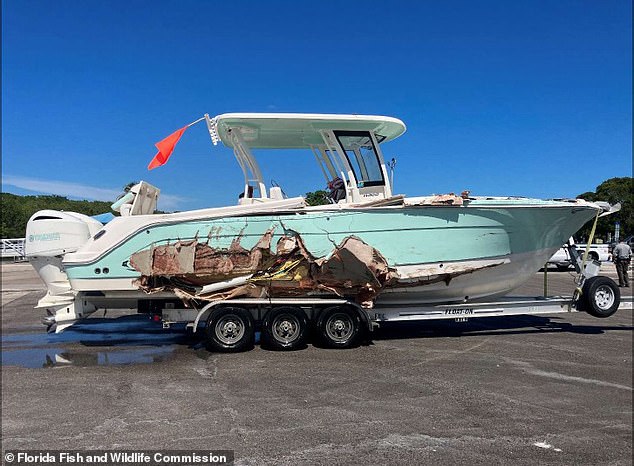 Pino was driving this 29-foot Robalo boat. The right side of the boat was left open in the accident.