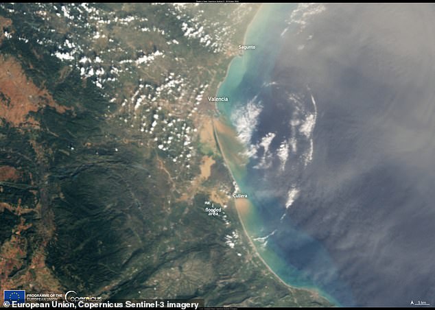 In this image taken by the Copernicus Sentinel-3 satellite, you can see the enormous column of brown mud swept out to sea by the force of the flood.