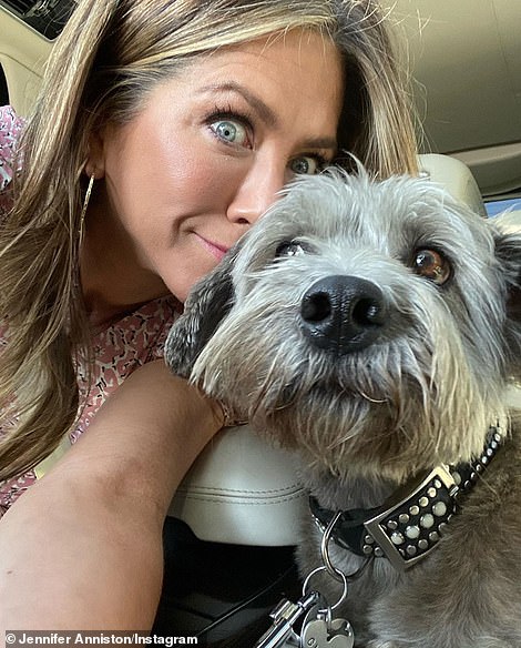 Aniston is dog mom Clyde (left), a Schnauzer mix, and two others.