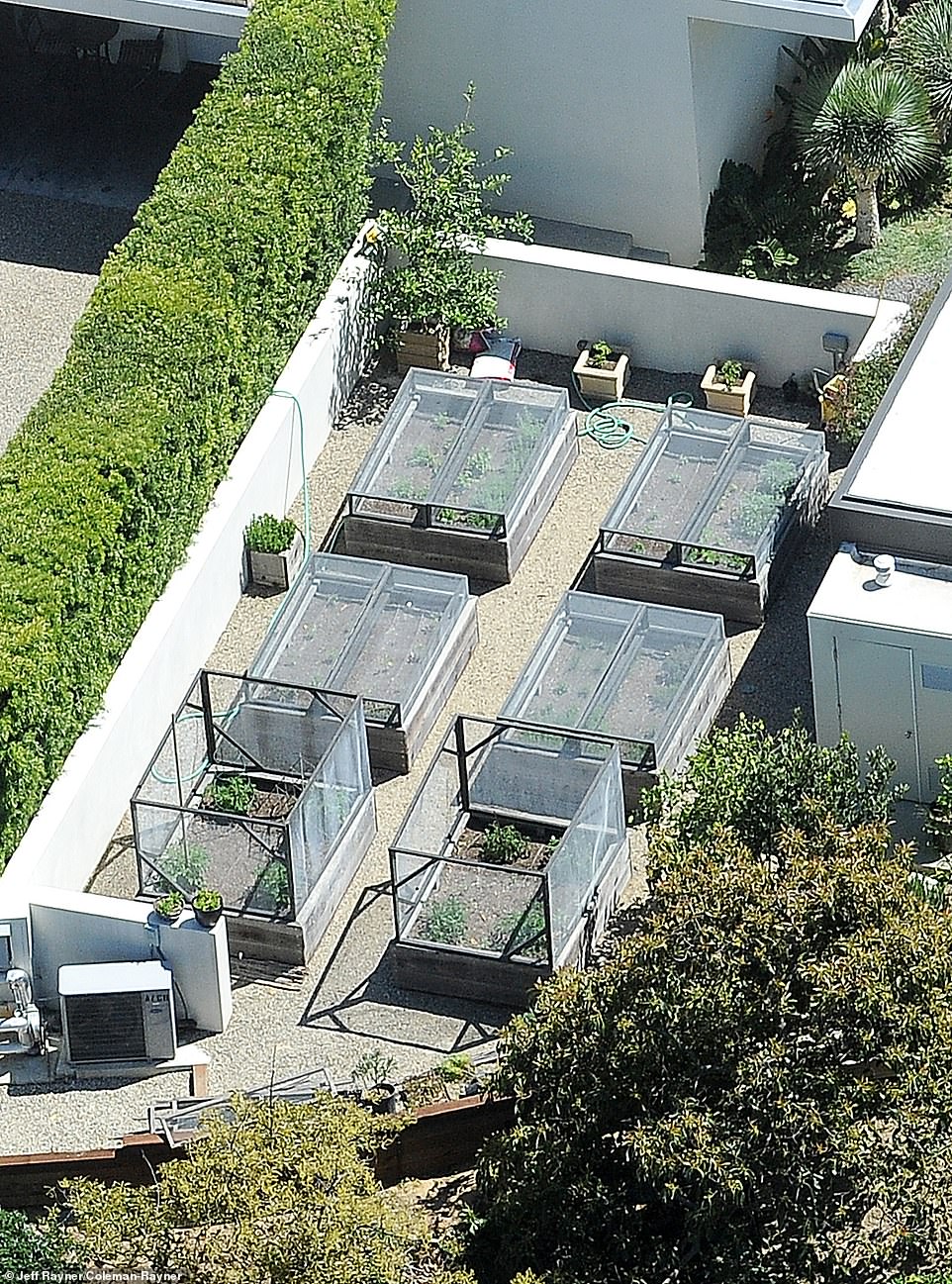 It seems Aniston was happy to give up her herb garden to give her three dogs a proper play area.