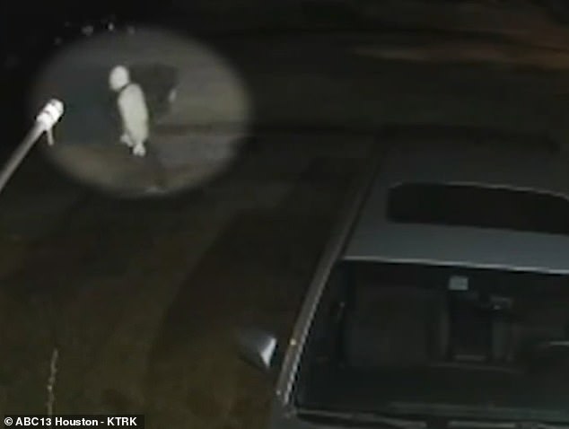 Witnesses went on to tell KHOU that the man wearing the Myers mask, seen loitering near the scene in CCTV footage, approached the victim while he was in the garage.