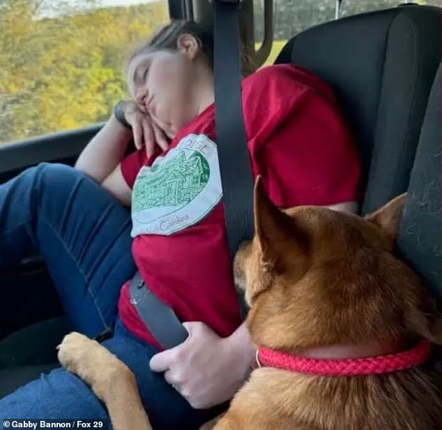 The couple went to the local Humane Society to round up 35 shelter dogs and take them back to Pennsylvania to find them families, but a certain dog immediately stole their hearts.