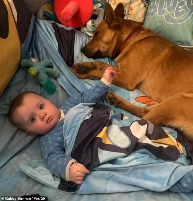 The dog was given a new name, Rusty, and fit right in with the family, including Michael, their two-year-old son, and Wesley, their six-month-old baby.