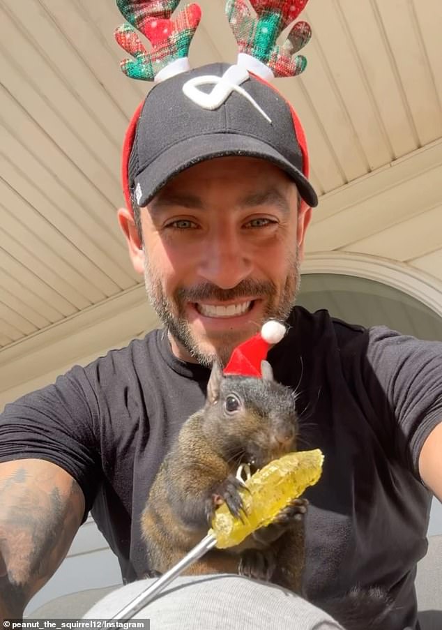 Peanut the squirrel and his owners, Mark Longo and his wife, Daniela, are seen in Peanut's Instagram videos and stills.