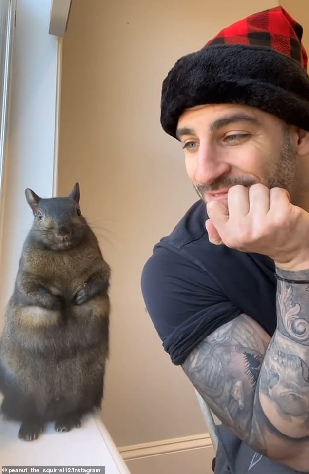 A scroll through Peanut's Instagram account confirms that it was not just any squirrel