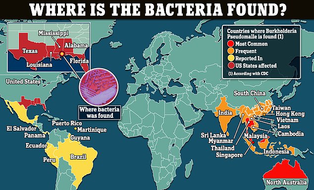 The map above shows the countries where the bacteria has been detected and the US states where the CDC says it is endemic.