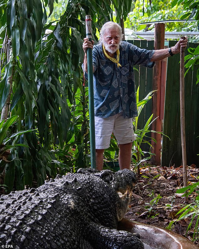 Before his death, Cassius, captive, was known to prowl the waterways of Australia before being brought to Marineland Marineland Melanesia Crocodile Habitat