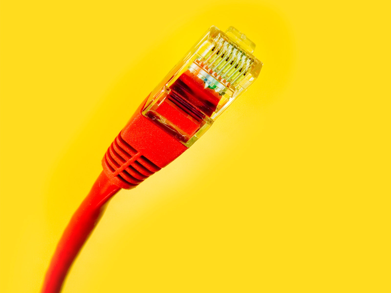 Red internet cable on yellow background