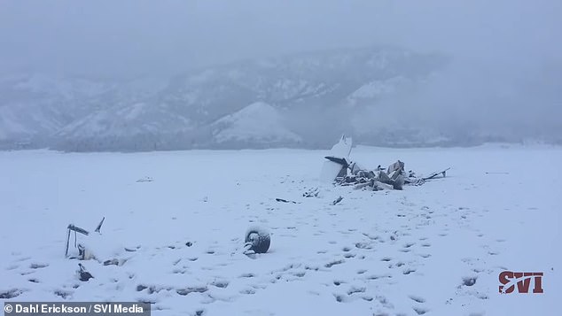 Pictured: Wreckage from a crash in Alpine, Wyoming, in March 2016.