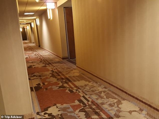 An image of the hallway of The Plaza Hotel where the attack occurred.