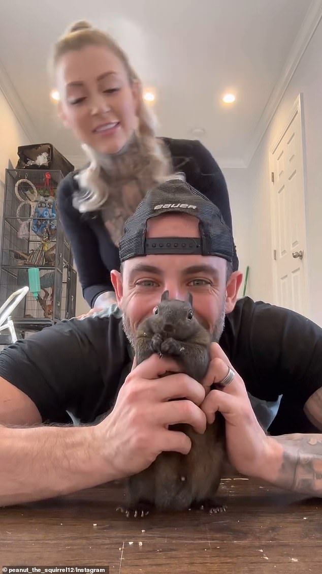 Peanut the squirrel and his owners, Mark Longo and his wife, are seen in Peanut's Instagram videos and stills.