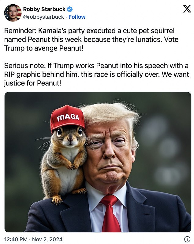 1730595760 591 Euthanized squirrel becomes bizarre election talking point after fake Trump