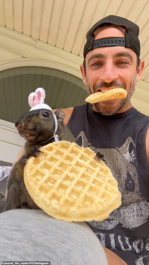 Peanut was eating a waffle with crocheted bunny ears in one of his popular photos.