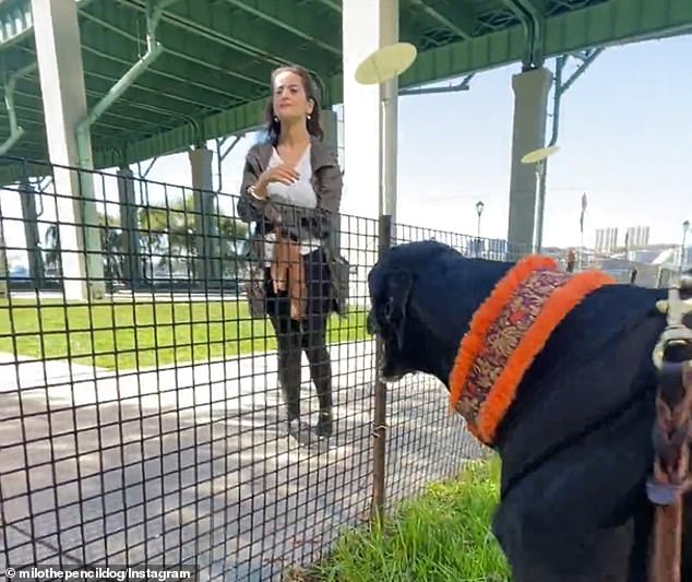 The woman started talking to the dog when Rimma stopped responding to her.