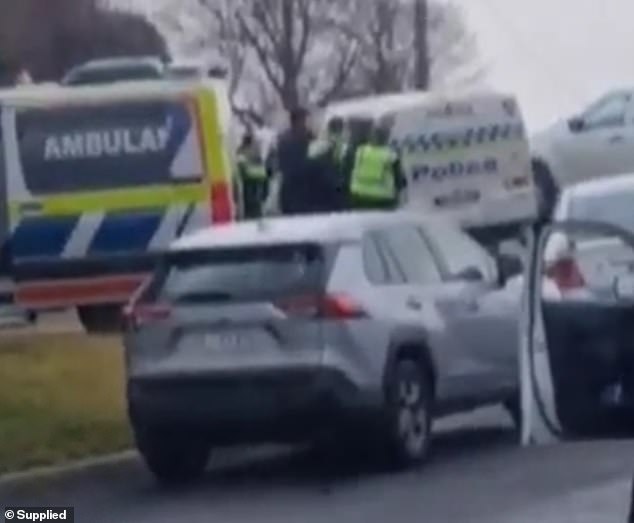 Pictured: Police try to put David McCulloch into a rice van on July 19.