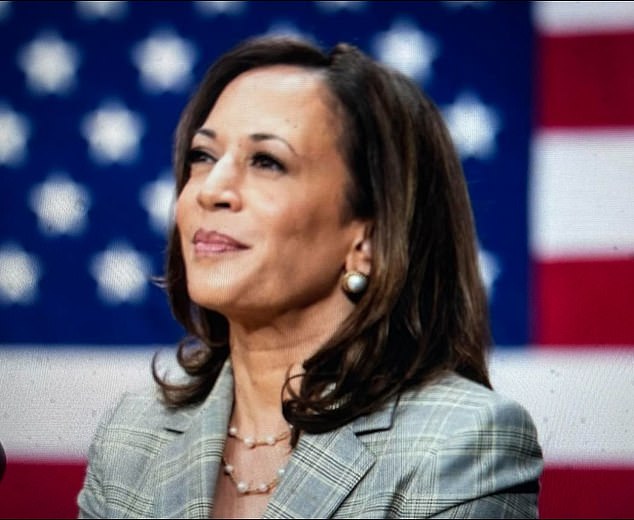 McNally posted this photo of Vice President Kamala Harris on Saturday and recalled how smart she was after meeting her at a Fourth of July party in 2008.