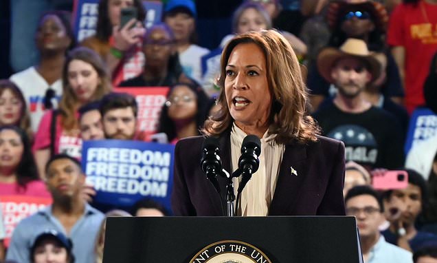 1730641833 973 Presidential election 2024 live updates Kamala Harris takes lead over