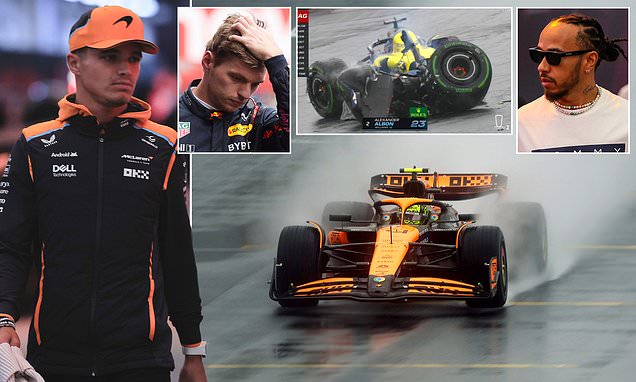 1730649754 189 Brazilian Grand Prix LIVE Lap by lap updates as Lando Norris starts