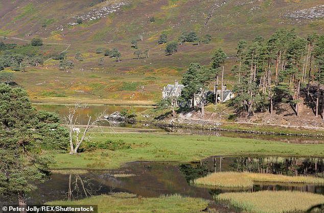 The estate (pictured) is located 15 miles from Loch Ness and was purchased by Spencer's businessman father David in 2018.