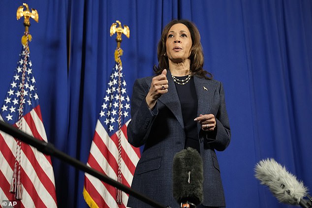 As the election approached, Harris and her top Democratic allies pulled out all the stops in a last-minute campaign frenzy across the country.