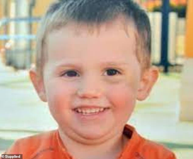 The investigation into the disappearance of three-year-old William Tyrrell (above) resumed for its final set of hearings in November and December.