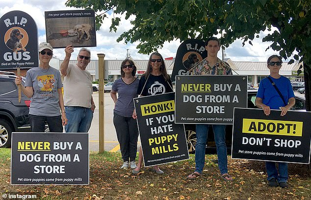 Animal welfare activists carry signs of Gus, a puppy who they say died in the store due to poor conditions.