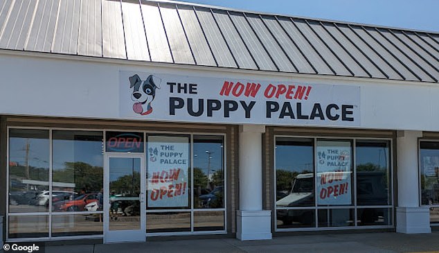 Tipirneni's Puppy Palace franchise opened in Manchester, New Hampshire, in May 2023.