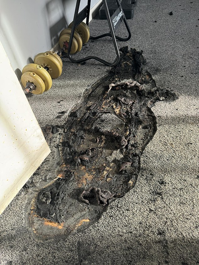 Ollie Byrne claimed Ms Fletcher started a fire in the house with her dog inside and shared shocking images of her charred carpets (pictured).