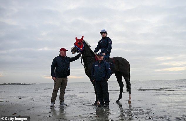 But the horse appeared to quickly regain its composure and was seen walking back to its trainers on the beach unharmed.