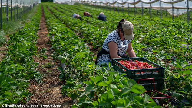 Federal Nationals leader David Littleproud and the National Farmers' Federation also criticized the report, which will affect at least 1,800 businesses from next year.