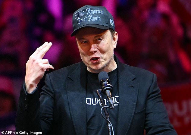 Tesla and SpaceX CEO Elon Musk speaks at a rally for Republican presidential candidate Donald Trump at Madison Square Garden in New York on October 27.