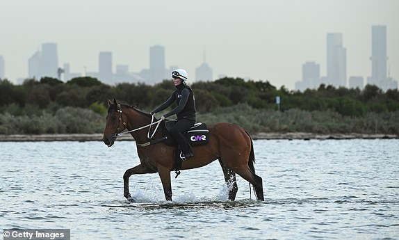 ALTONA NORTH, AUSTRALIA - NOVEMBER 4: Melbourne Cup favorite Buckaroo ridden by Courtney Foale is seen during the beach session at Altona Beach on November 4, 2024 in Altona North, Australia. (Photo by Vince Caligiuri/Getty Images)