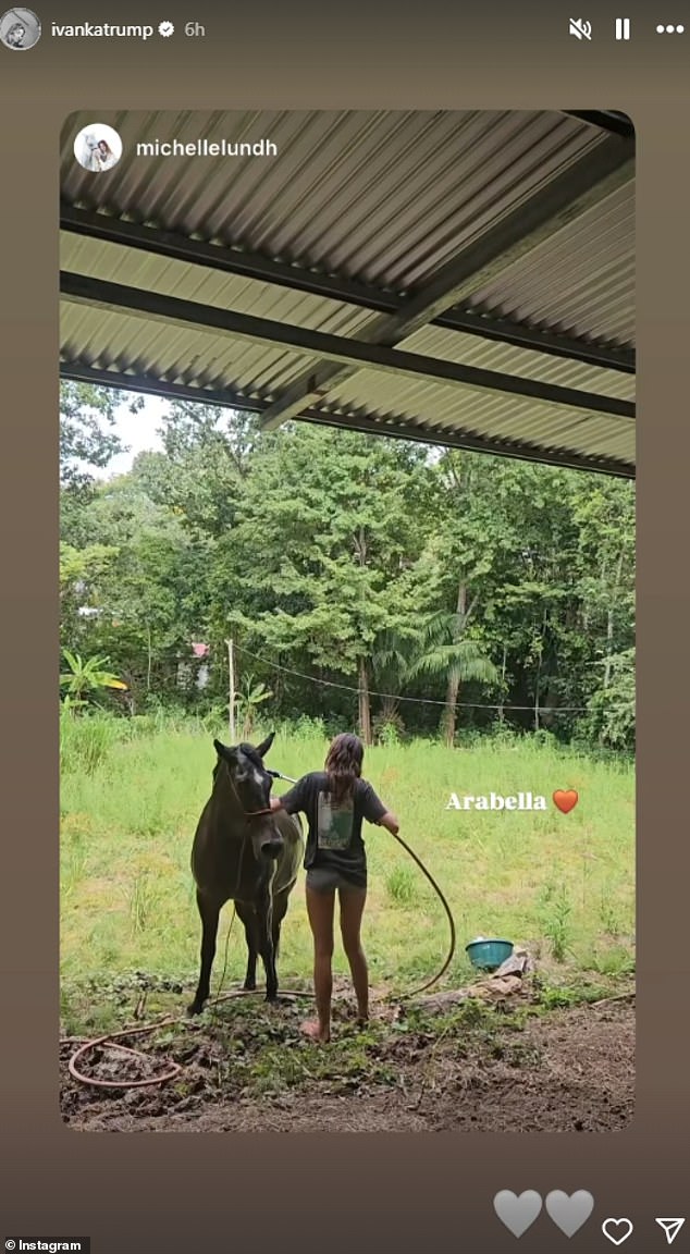 On Monday, she shared another sweet image to her Instagram Stories — this time, a new post of someone petting and washing a brown horse named Arabella.