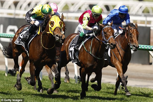 Melbourne Cup won by Knight's Choice in thrilling finish