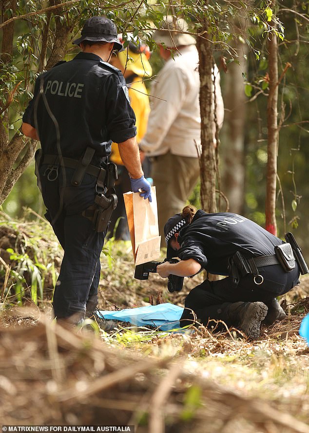 The inquest has heard that William's remains could have remained in the bush for seven years or could have disintegrated due to environmental or predation factors.