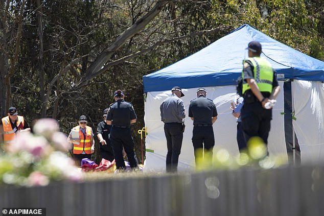 Paramedics and police appear at a scene at Hillcrest Primary School after four children died in a jumping castle incident.