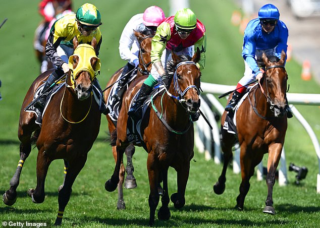 Ladbrokes claimed that the punter had put $100 on the bet, earning a 416.66 per cent return on his bet.