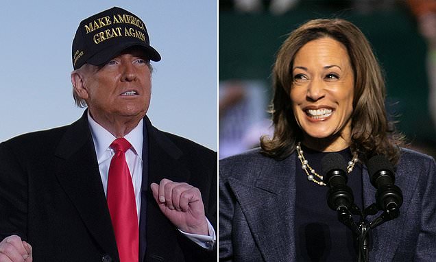 1730808896 43 Presidential Election Day 2024 live updates Polls open as Kamala