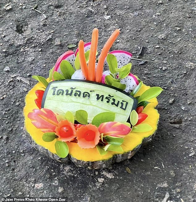 In the image: one of the fruit plates that Moo Deng was offered to eat to predict the elections.