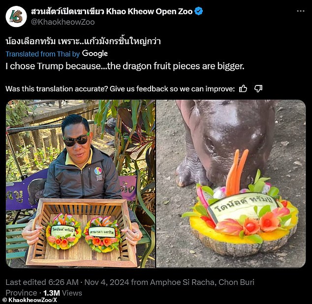 One of the zookeepers later revealed on social media that Trump's melon contained some larger pieces of fruit, which may have influenced Moo Deng's decision.