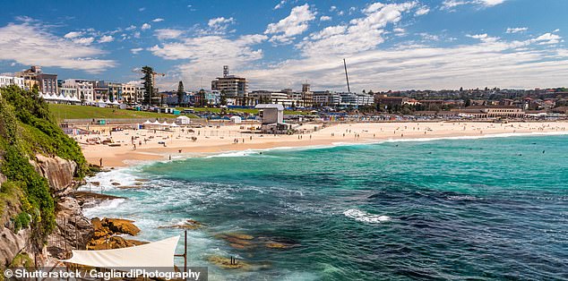 I carried out similar letter-writing campaigns against more than a dozen other suspected or convicted pedophiles in the eastern suburbs (pictured: Sydney's Bondi Beach).