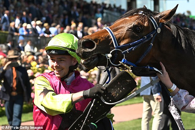 Channel Nine showed the epic journey of Robbie Dolan and Knight's Chance on Tuesday, with the outsiders winning the Melbourne Cup.