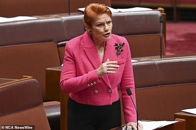 Senator Hanson said the decision gave her the view that Australia 