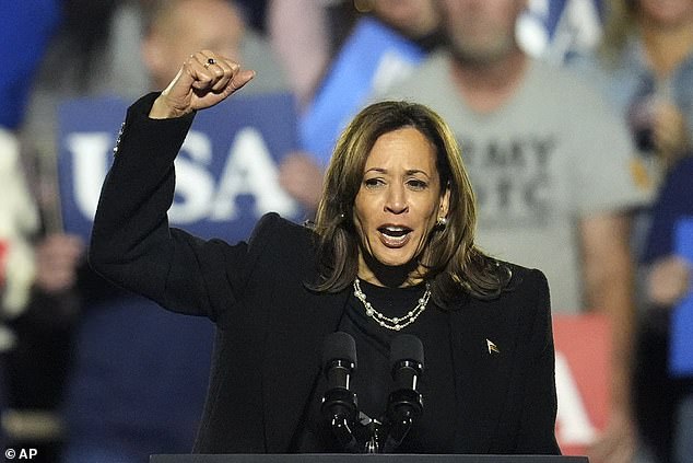 In September, Swift publicly endorsed Democratic candidate Harris and her vice president Tim Walz in a lengthy Instagram statement that racked up more than 11.4 million likes; Harris seen on November 4