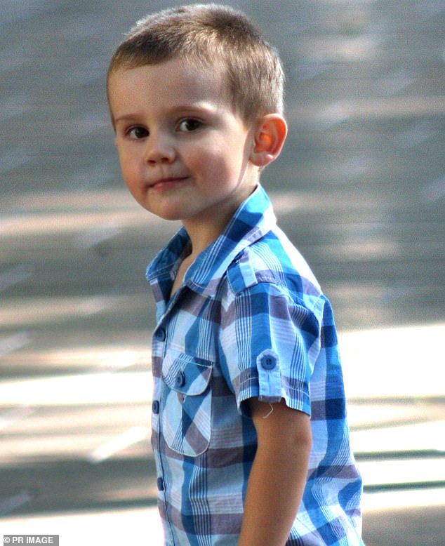 The latest hearings in the William Tyrrell inquest look into the police theory that William fell from the balcony of his grandmother's house and his remains were buried in bushland.