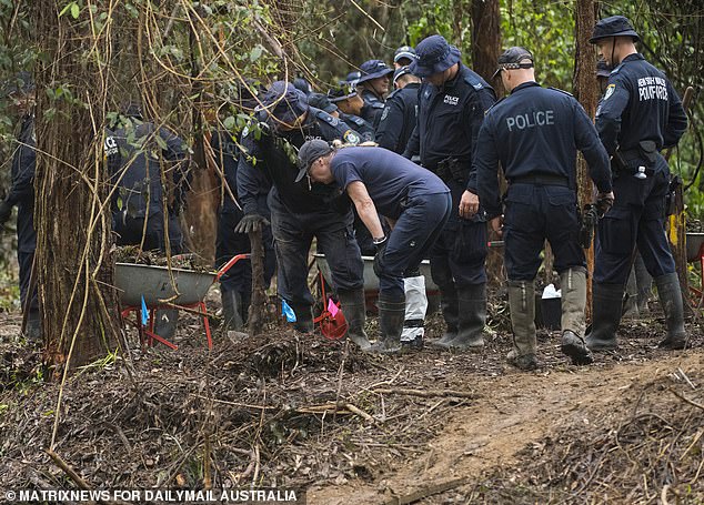 Police search bushland along Batar Creek Road, Kendall, where a truck driver said he saw a woman throw an object from a car on the morning William Tyrrell disappeared.