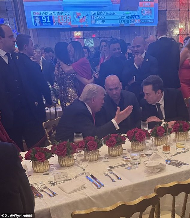 A photo taken at the event showed Trump in serious conversation with Elon Musk (right) and another co-owner of the US Ultimate Fighting Championship, Dana White (center).