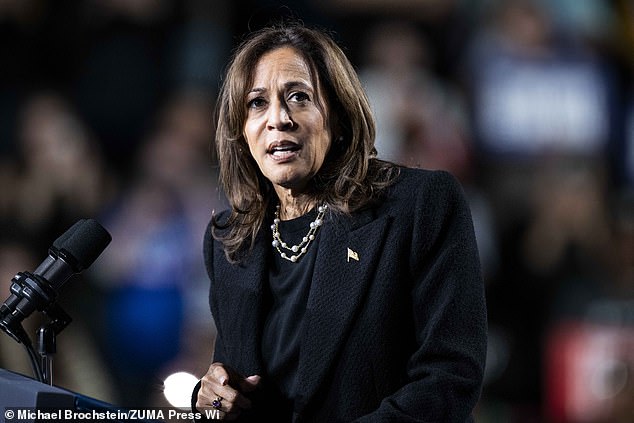 Vice President Kamala Harris speaks at a rally at Muhlenberg College's Memorial Hall in Allentown, Pennsylvania, on Nov. 4.