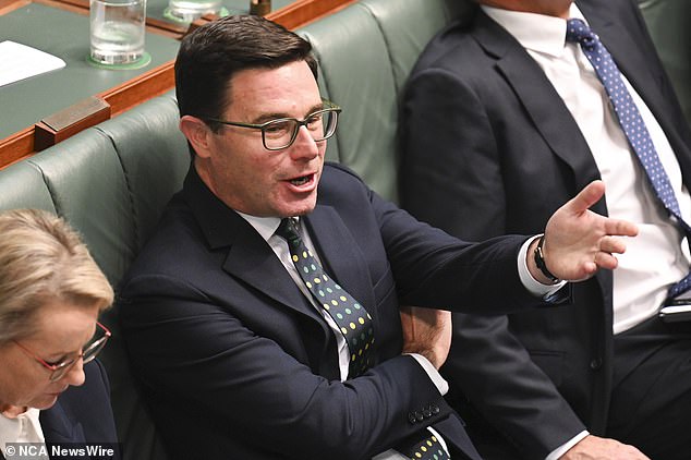 Despite the irregularities, Opposition Leader Peter Dutton and Nationals leader David Littleproud (pictured) are unlikely to sack Senator McKenzie.