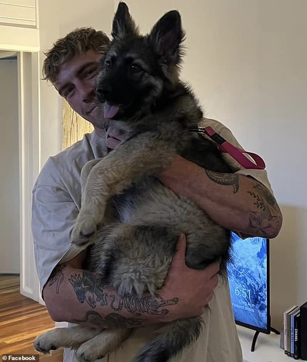 The civil technician (pictured with his dog Wolfie) has to move to the Gold Coast for work and the accommodation search post attracted not only places to rent but also 300 friend requests from around the world.